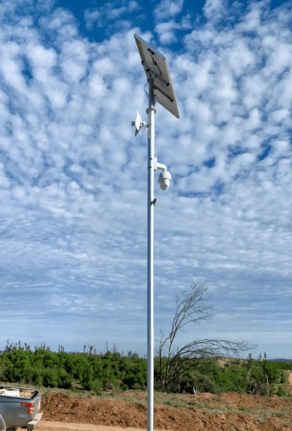Constitución