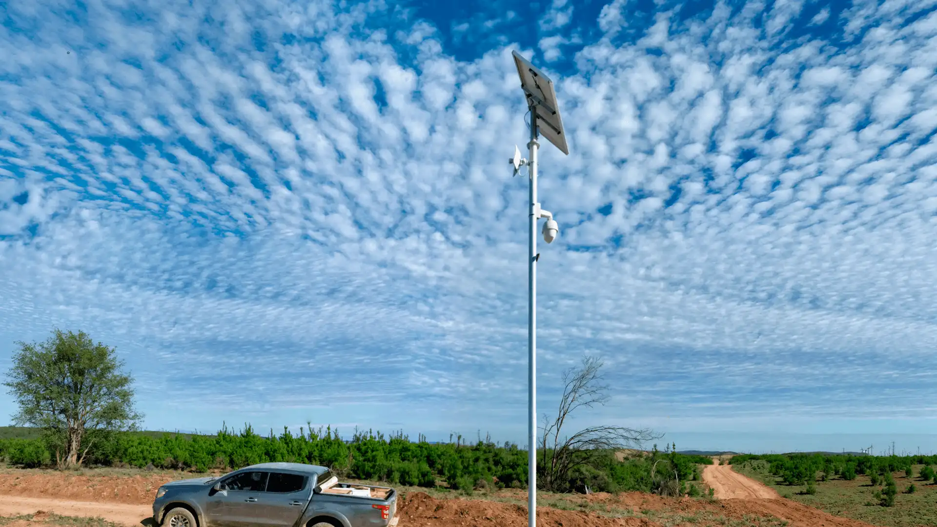 Constitución