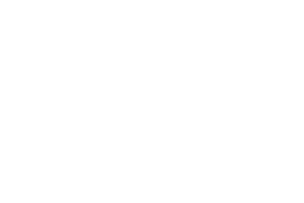 Wellesley Asset Management